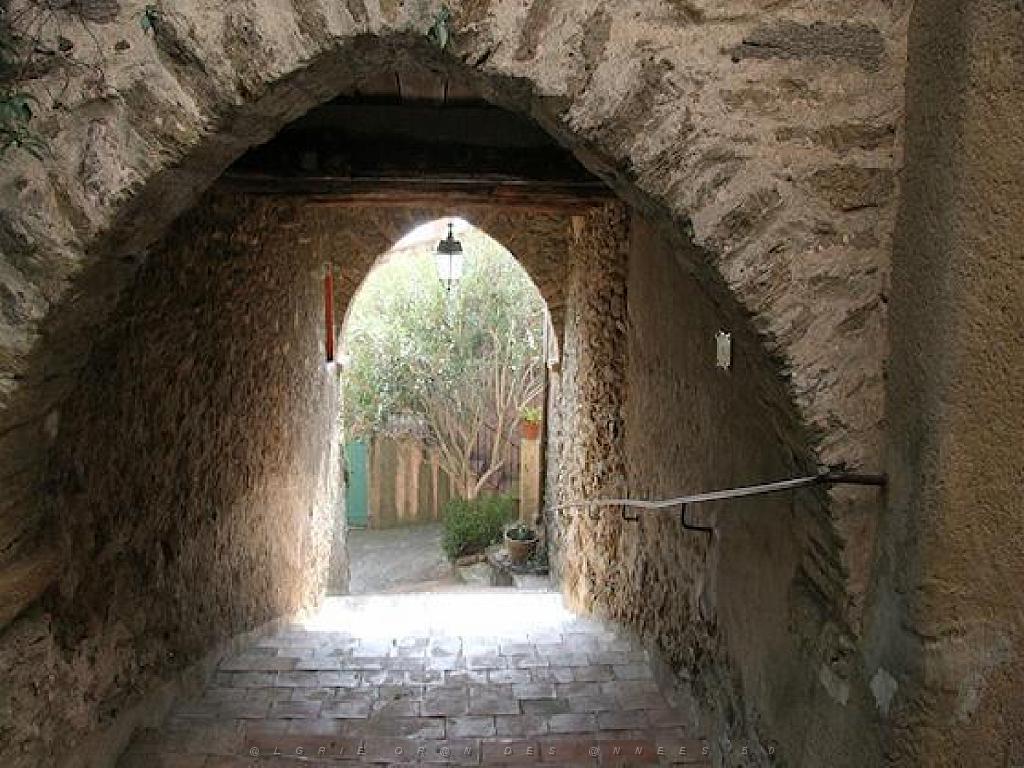 183 D24 BORMES LES MIMOSAS 2_000029.jpg